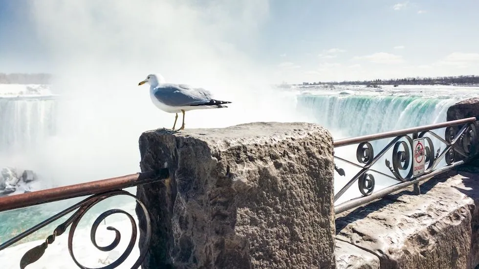 engineers drained niagara falls 14.jpg